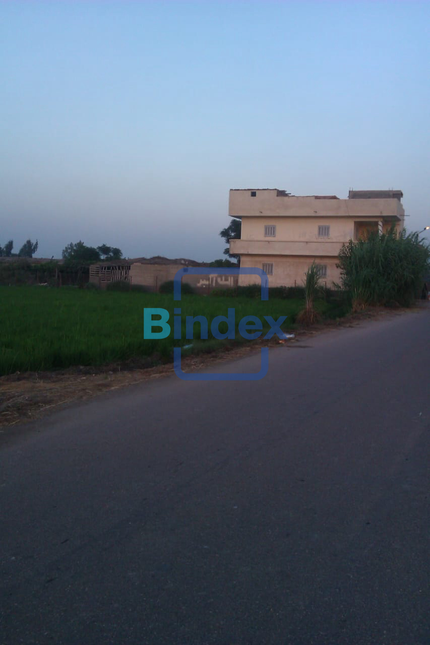 فرصه للبيع مشروع متكامل مزرعه وبيت وأرض زراعيه بكفر الشيخ