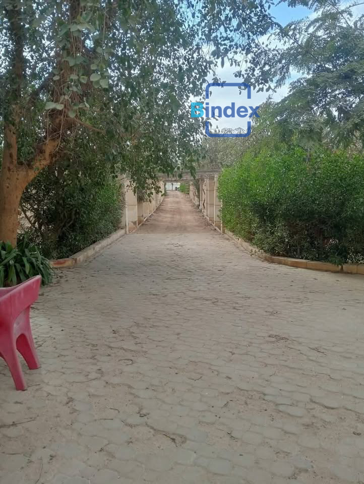 مزرعه للبيع بالمنصوريه