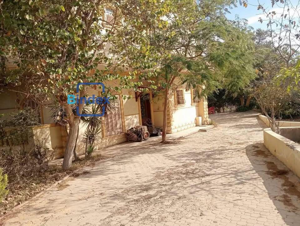 مزرعه للبيع بالمنصوريه