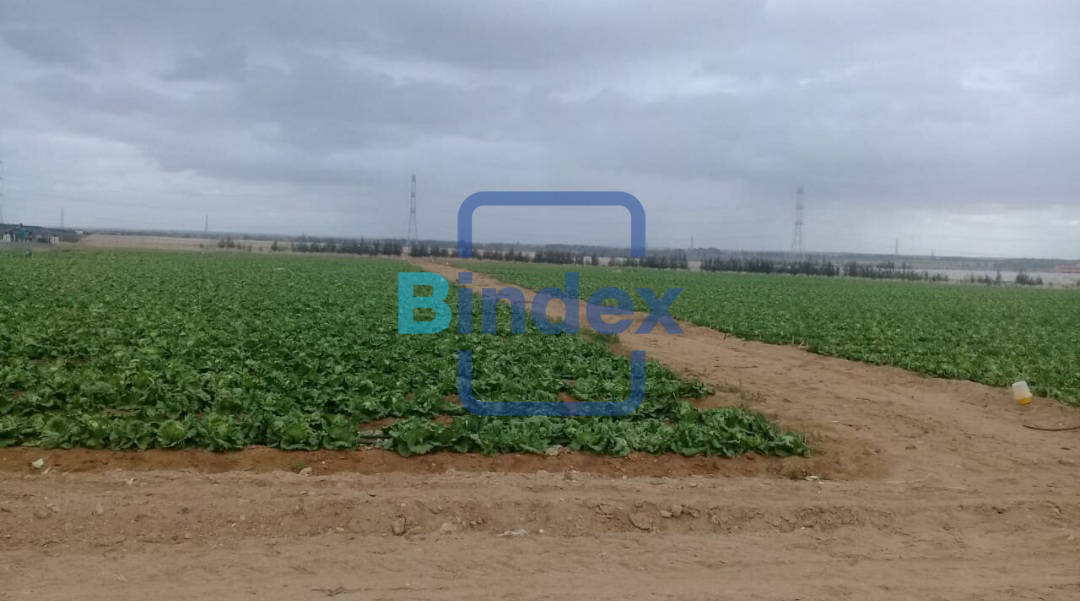 مزرعه مميزه جدا للبيع علي طريق مصر اسكندرية الصحراوي 