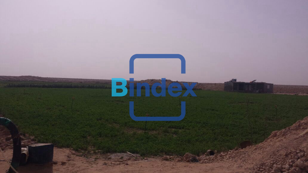 لاصحاب المشاريع الضخمة ارض للبيع في العلمين 