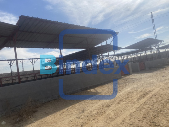 للبيع 2 و نص فدان عقد اسكان فاخر بالشيخ زايد