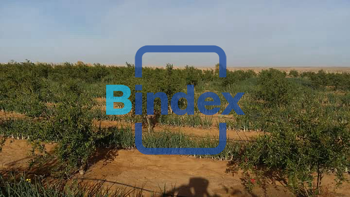 لاصحاب المشاريع الضخمة ارض للبيع في العلمين 