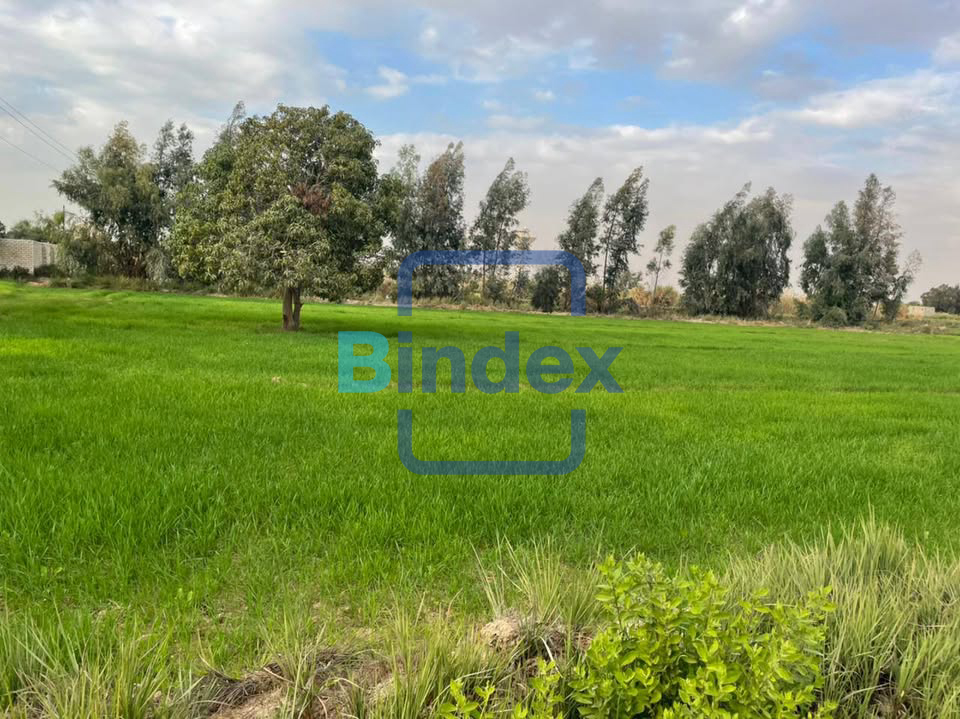 مزرعه للبيع علي طريق السويس - الاسماعيلية 