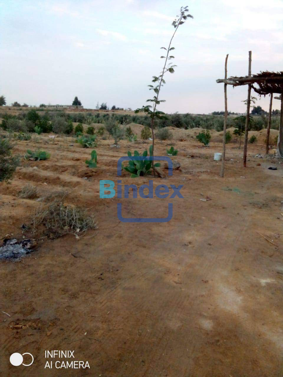 ارض للبيع 