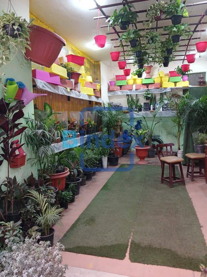 محل للبيع امام جرين بلازا الاسكندرية 