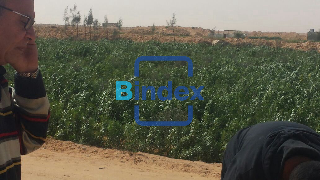 لاصحاب المشاريع الضخمة ارض للبيع في العلمين 