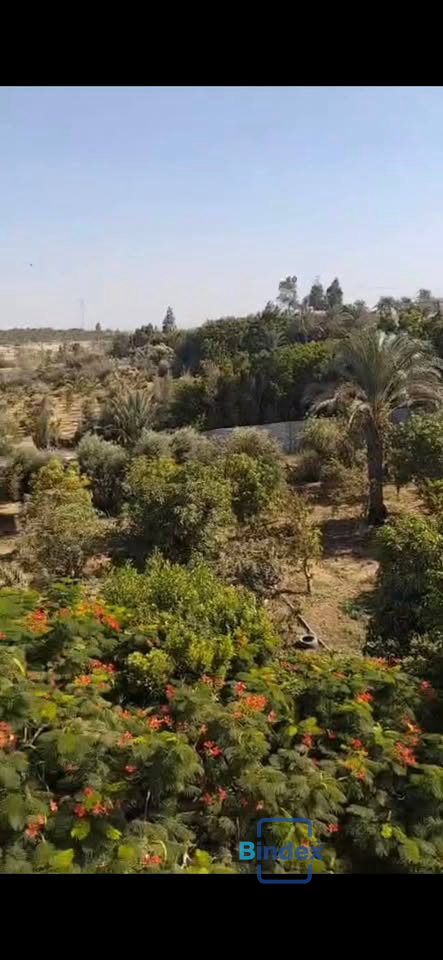 مزرعه للبيع بالمنصوريه