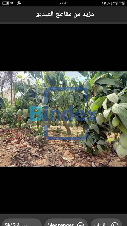 مزرعه للبيع