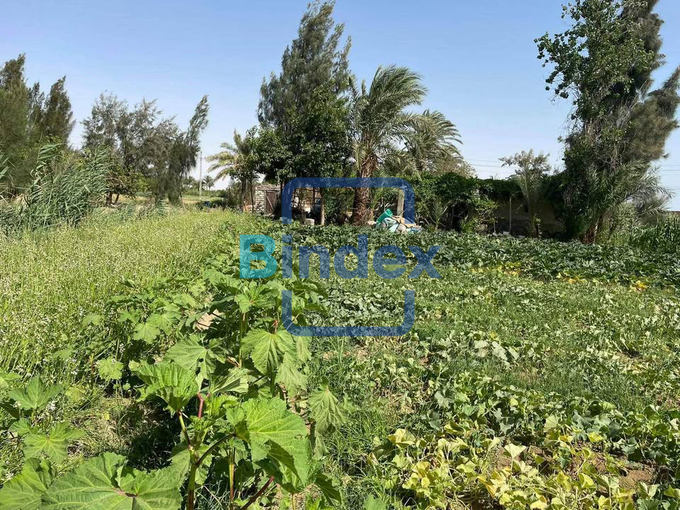 مزرعه للبيع علي طريق السويس - الاسماعيلية 