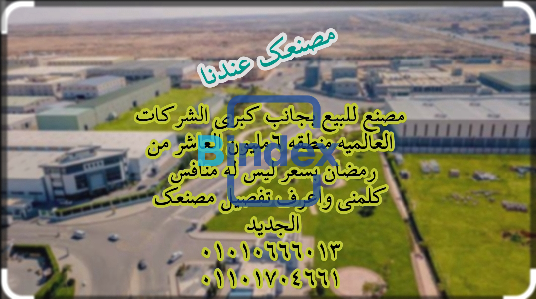 صاحب شركه جولدن للاستثمار العقاري 