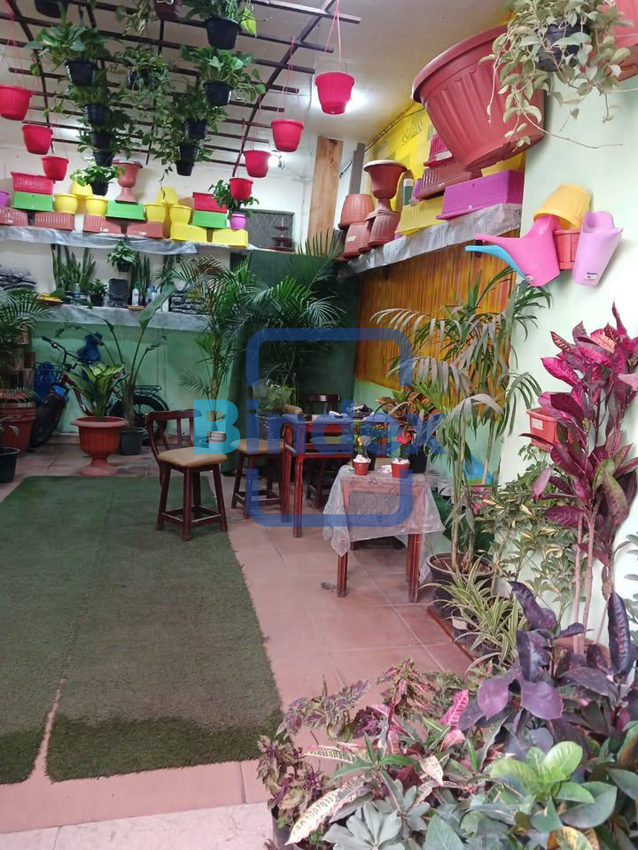 محل للبيع امام جرين بلازا الاسكندرية 