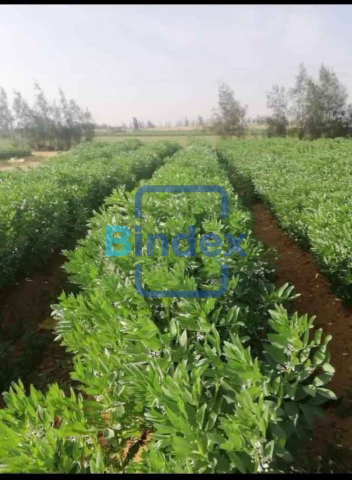 مزرعه للبيع