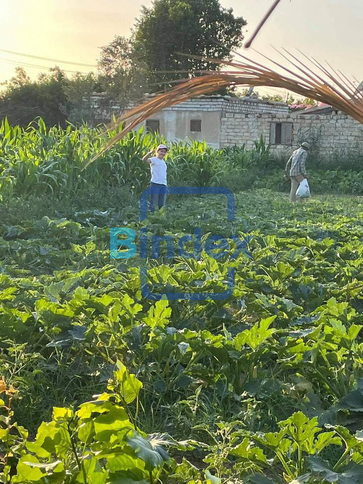 مزرعه للبيع علي طريق السويس - الاسماعيلية 