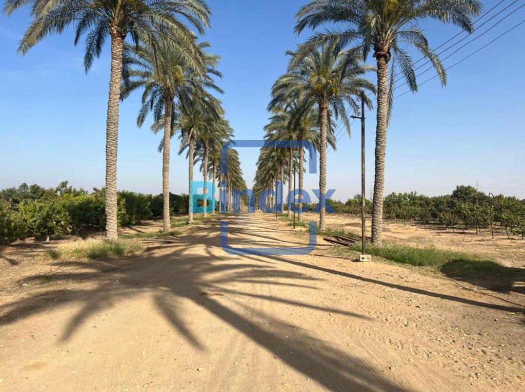 مزرعه للبيع بطريق مصر اسكندرية 