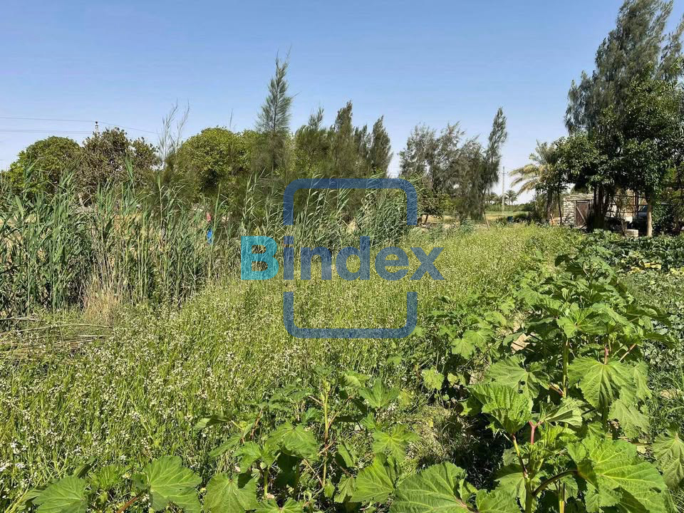 مزرعه للبيع علي طريق السويس - الاسماعيلية 