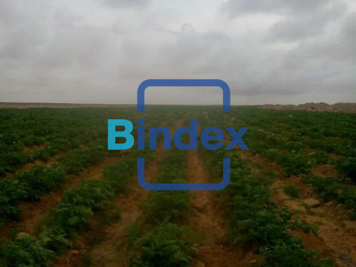 لاصحاب المشاريع الضخمة ارض للبيع في العلمين 