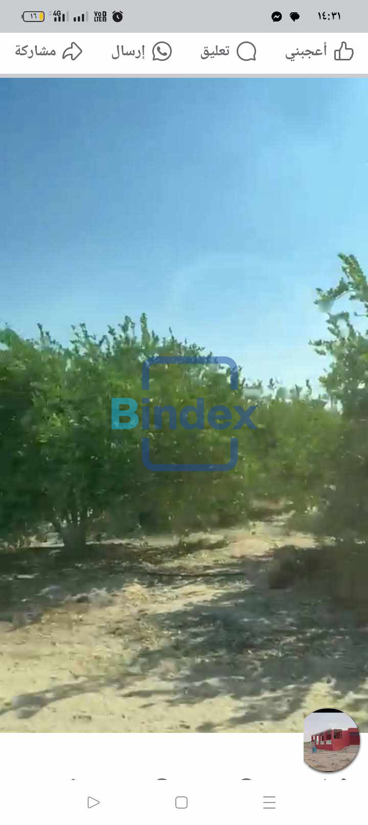 مزرعه للبيع قرب مدينة النوبارية