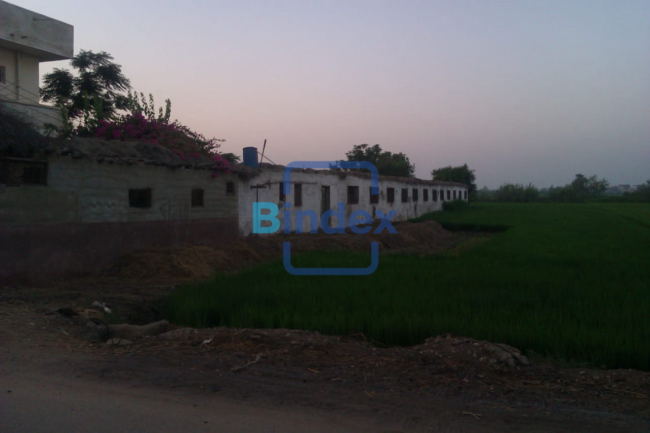 فرصه للبيع مشروع متكامل مزرعه وبيت وأرض زراعيه بكفر الشيخ