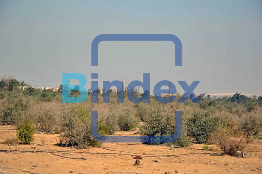 "للبيع ارض 50فدان علي الاسفلت بابو غالب