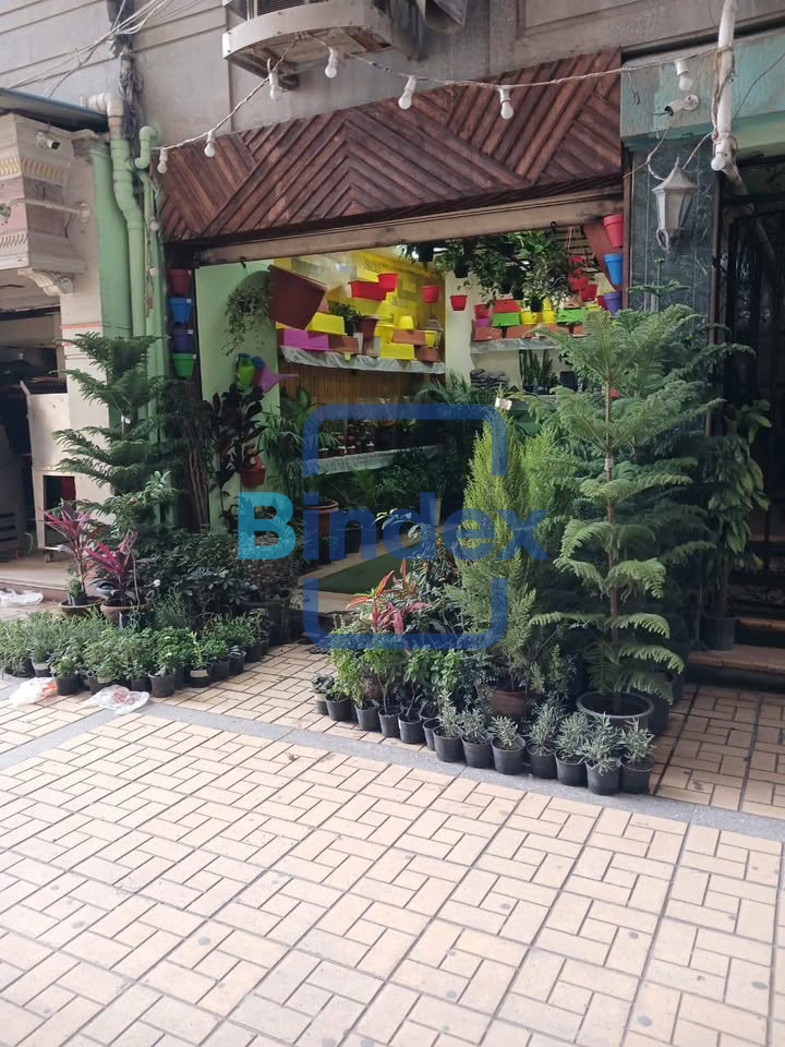 محل للبيع امام جرين بلازا الاسكندرية 
